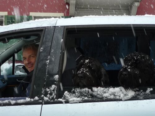 Hansjürg, Tim, Donna